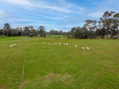 2269 Snow Road, Markwood