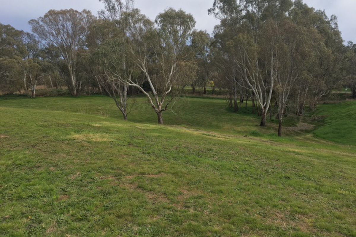 84 -102 -102 Livingstone Street, Avenel