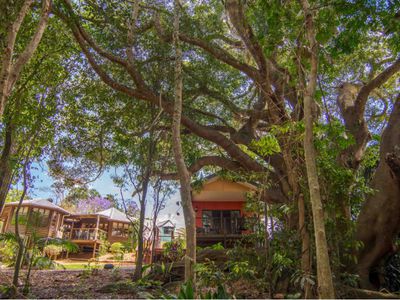 943 Maleny - Montville Road, Balmoral Ridge