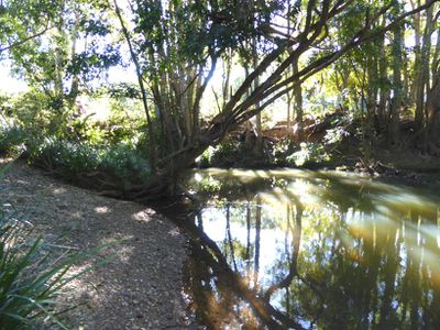 Lot 204 Coral Avenue, Mullumbimby