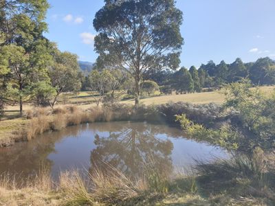 270 Woolleys Road, Lonnavale