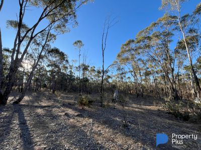 Lot 13, Moliagul Drive, Moliagul