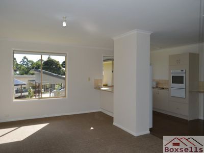 54 Palm, Maleny