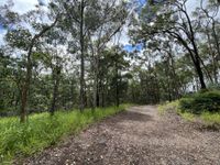 101 Prangley Road, Bahrs Scrub