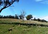 Lot 2, 660 Icely Road, Orange