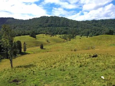 2430 Nimbin Road, Nimbin