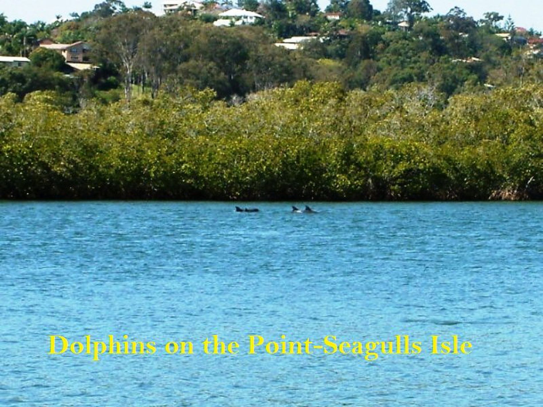 73 Sunset Boulevarde, Tweed Heads West