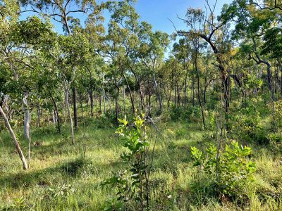 2554 Mulligan Highway Road, Cooktown