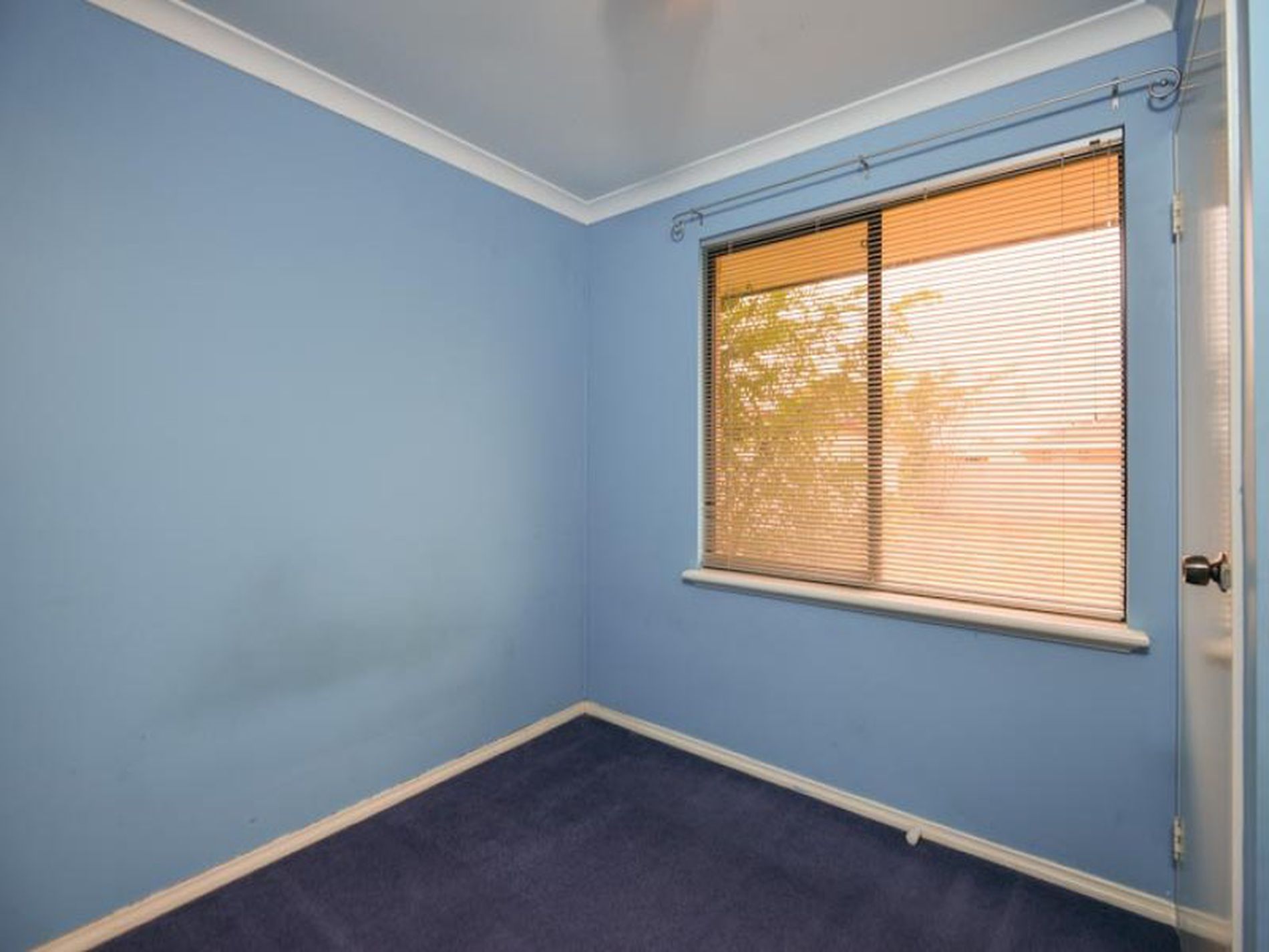 5 Sobota Street, Somerville