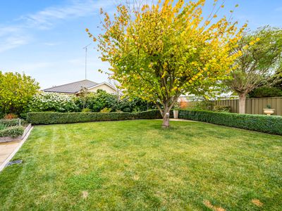 3 Lakewood Avenue, Mount Gambier