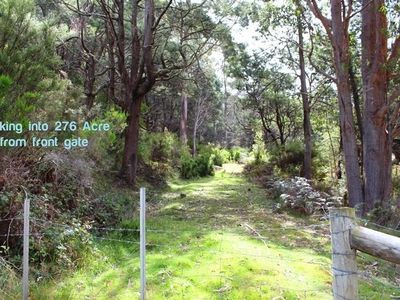 End Steeles Road, Nicholls Rivulet