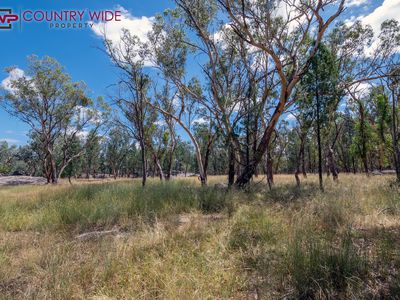 729 Wallangra Road, Ashford