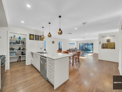 17 Ricotta Road, Manor Lakes