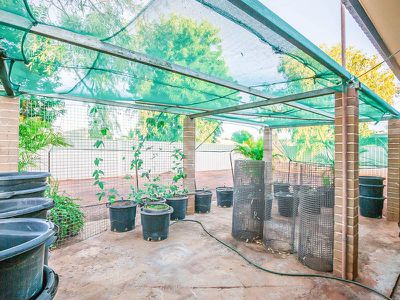 15 Limpet Crescent, South Hedland