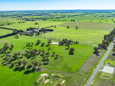 'Pastoria Park' 205 Balldale Road, Hopefield