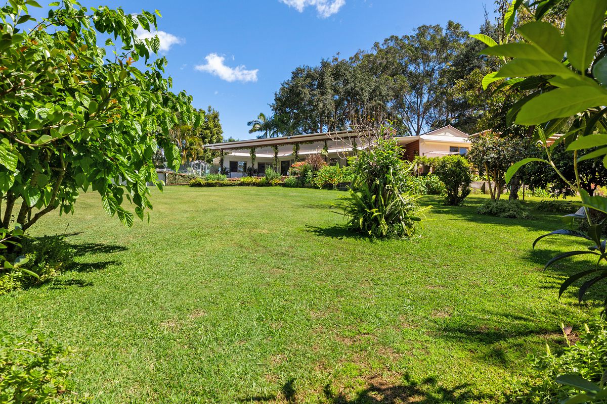 8 Livistona Drive, Doonan