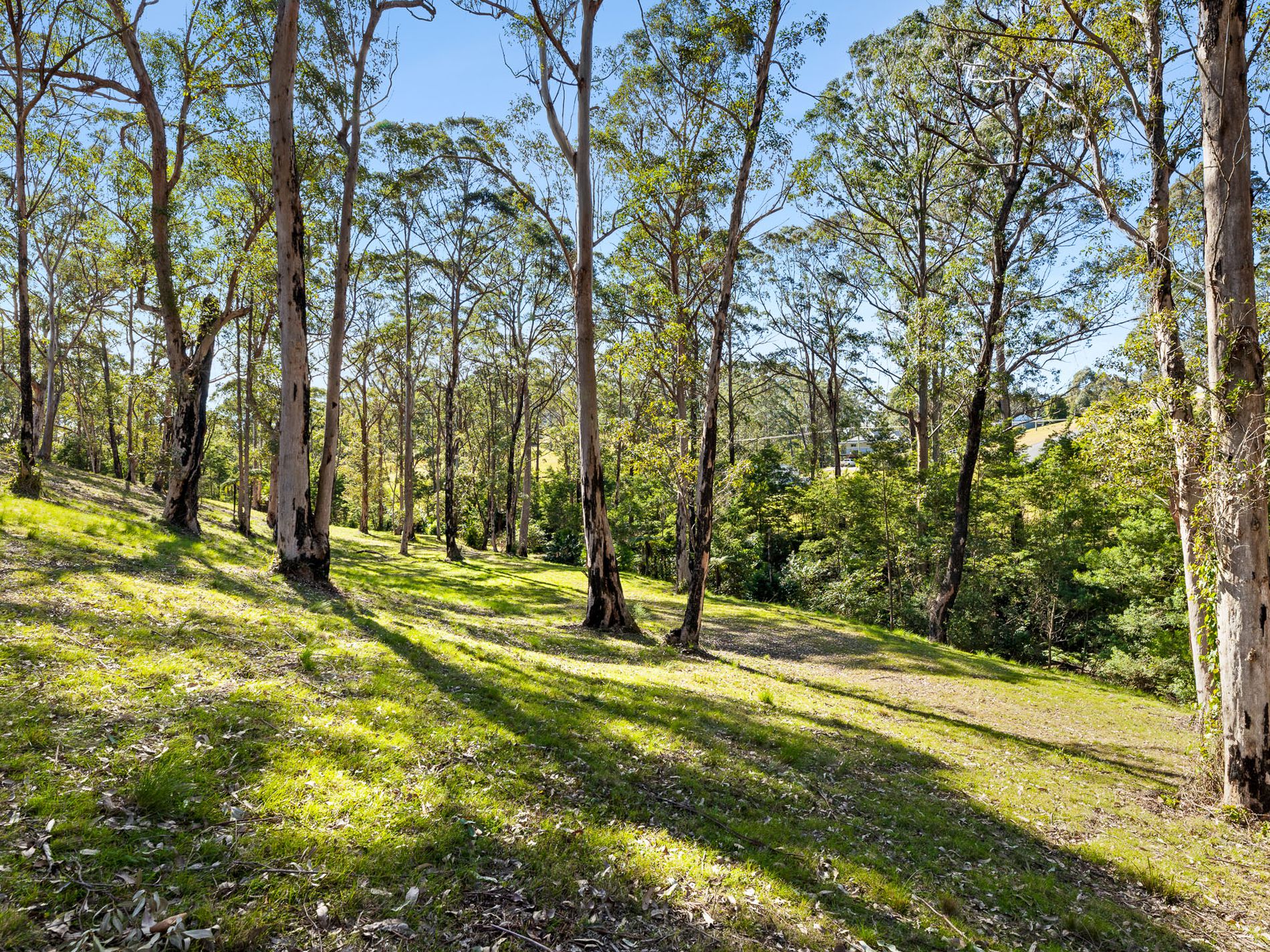 Lot 19, Worthy Drive, Malua Bay