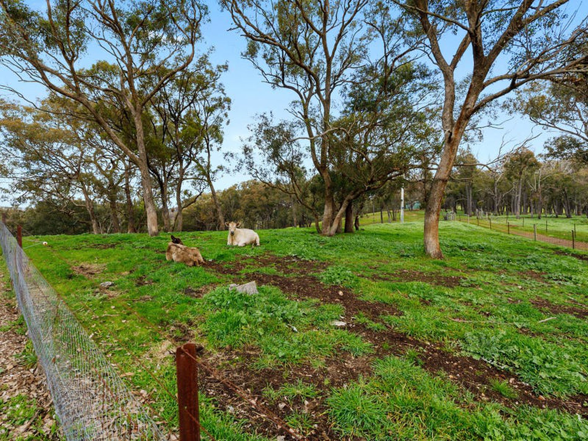 245 Sharps & Taylors Rd, Tallarook