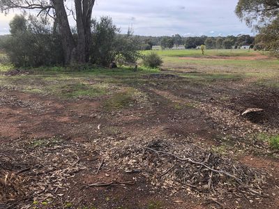 79 Newbold Street, Wedderburn