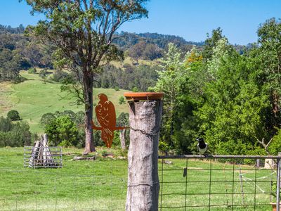 975 Green Pigeon Road, Green Pigeon Via, Kyogle