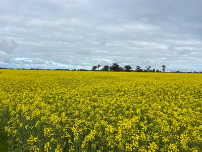 2015 McEwen Road, Kyabram South