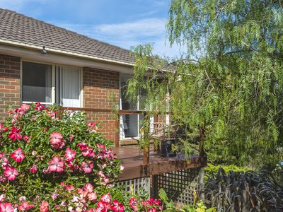 45 The Boulevard, Gisborne