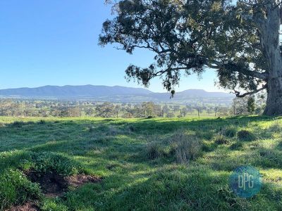 251 McLeod Lane, Mansfield