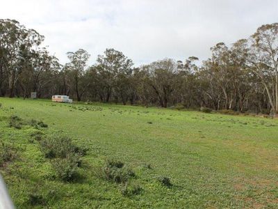 Old Boort Road, Wedderburn