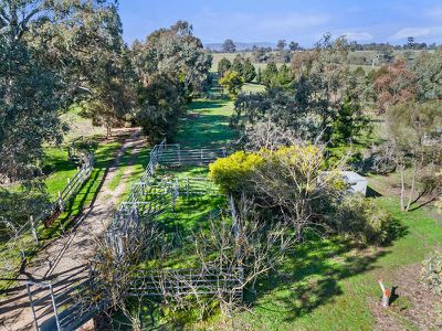 155 Yellow Box Road, Hilldene