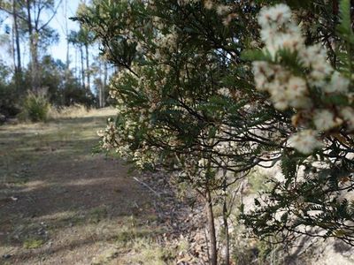 Lot 2 Sandhill Road, Cradoc