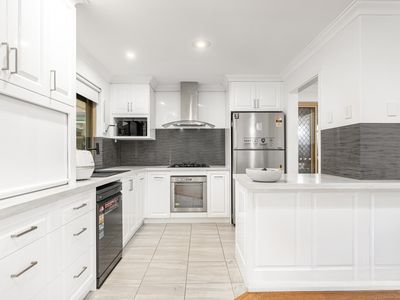 163 Rostrata Avenue, Willetton