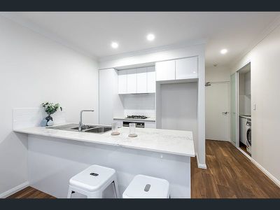 13/3 Liege Street, Woodlands
