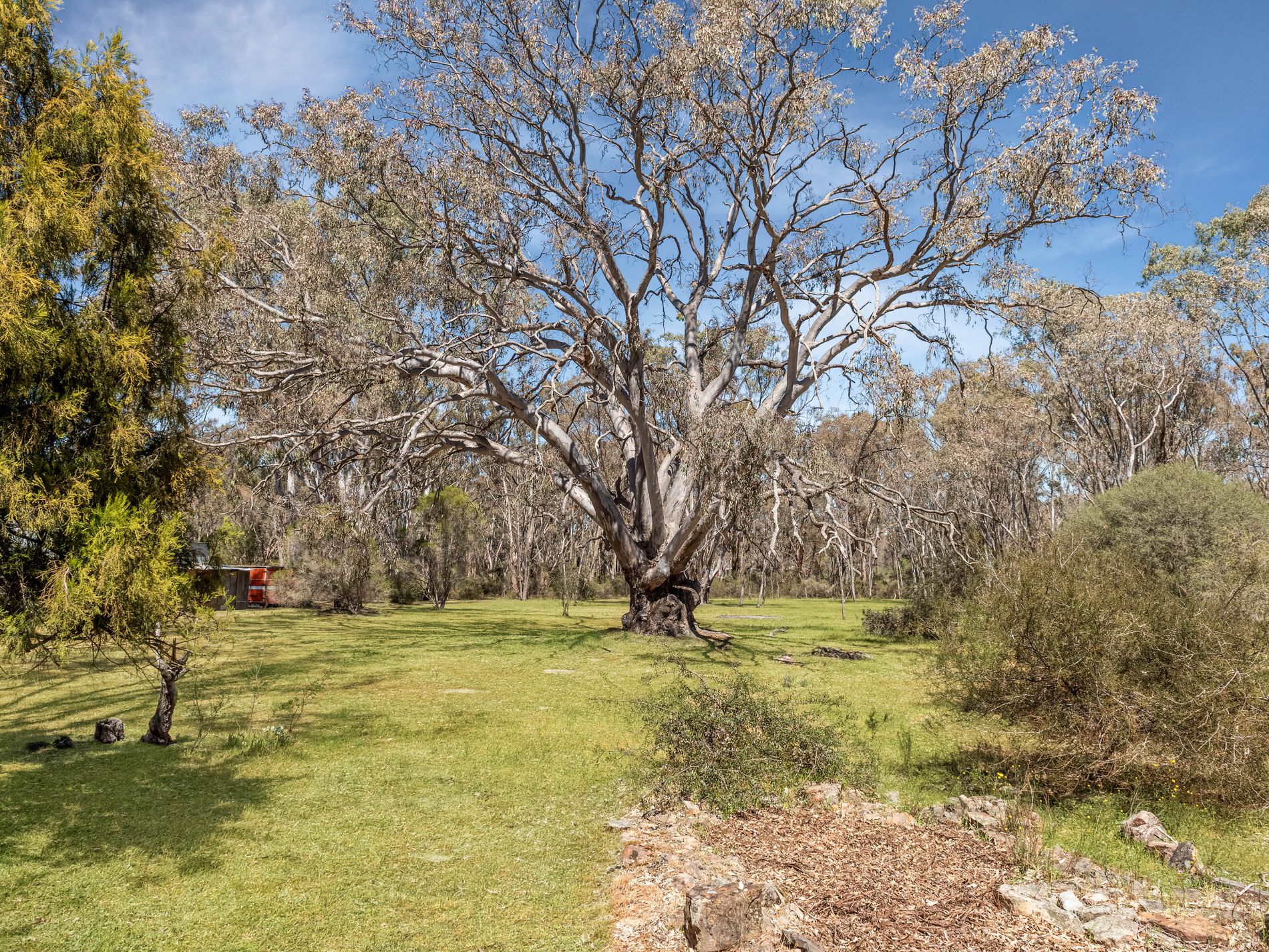 61 Redcastle Cemetery Road, Redcastle