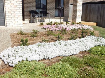 23 Dornoch Cres, Raceview