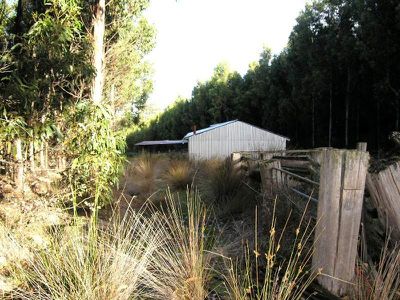 Maxfields Road, Franklin