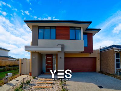 7 Lorimer Street, Berwick
