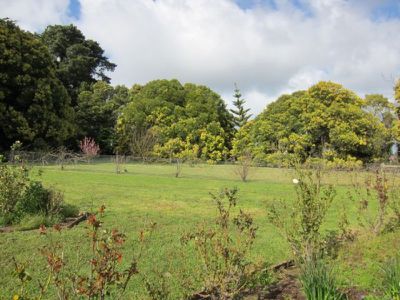 10 Pine Hall Avenue, Mount Gambier
