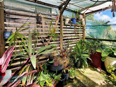 3 Osprey Dr, Woodgate