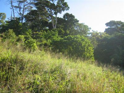 1 Buhmann Street, Cooktown