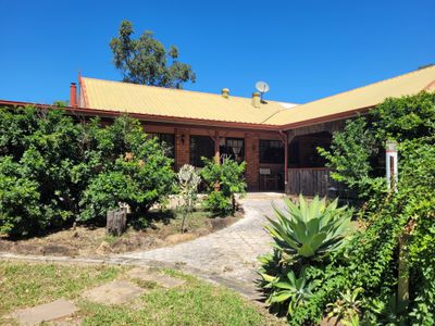 32 WILLOUGHBY STREET, Willows