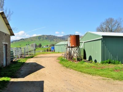 51 Welumba Creek Road, Greg Greg