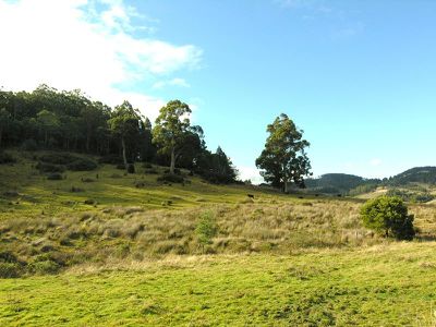 Four Foot Road, Geeveston