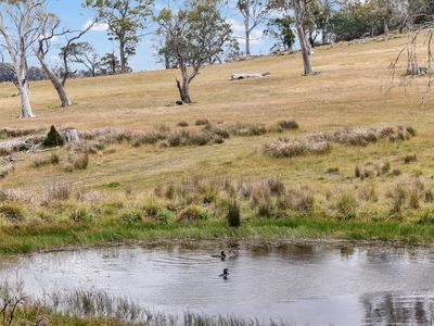 "Kheme Hill" Eastwood Road, York Plains