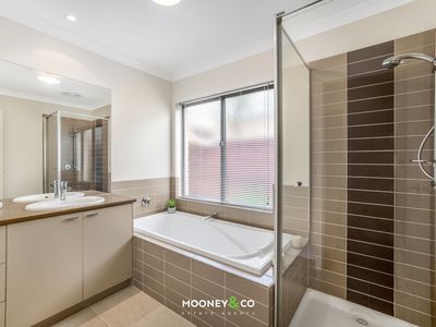 33 Yammerbook Way, Cranbourne East