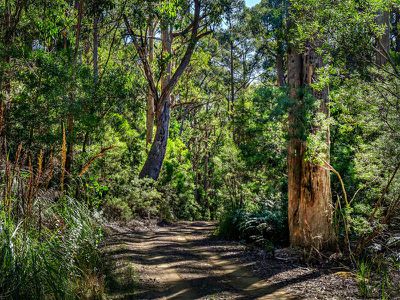 634 Tobys Hill Road, Cygnet