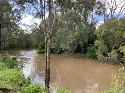 3309 Bedgerabong Road, Bedgerabong