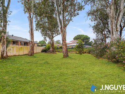 67 Beckenham Street, Canley Vale