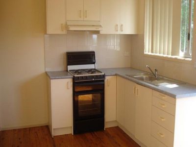 Mount Warrigal