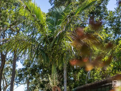 16 Nicholson Crescent, Toukley