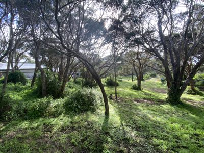 11 Marianne Avenue, Rye